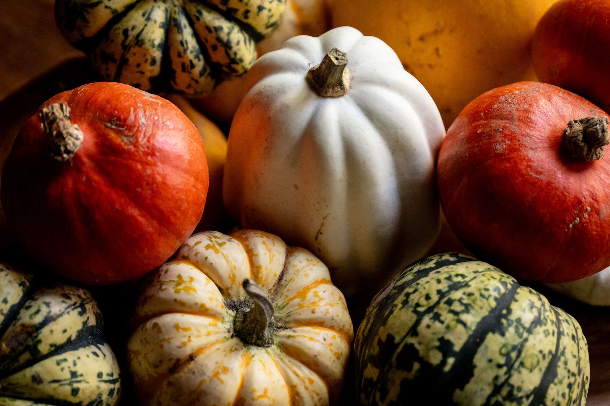Pumpkin Carving Week 🎃